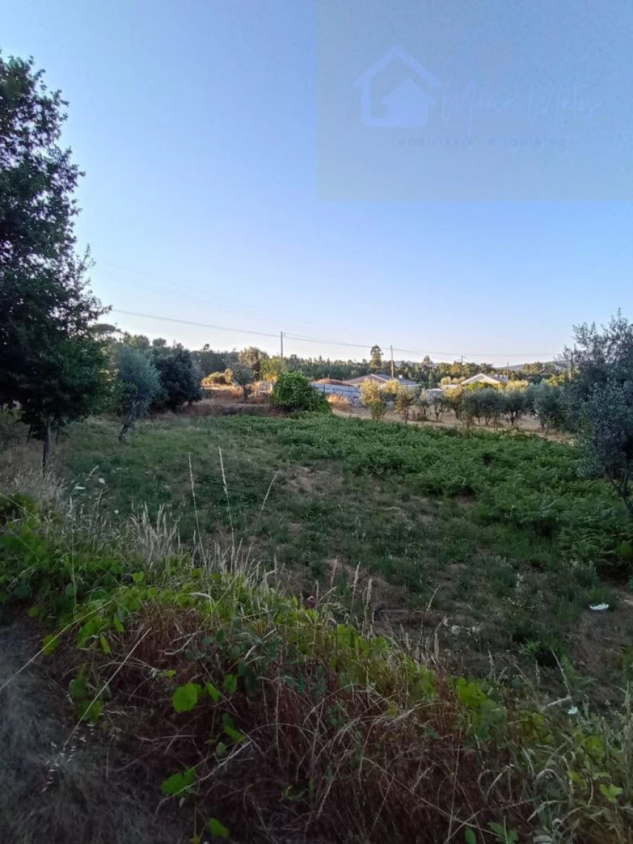 Moradia T3 para Venda em Santiago de Cassurrães e Póvoa de Cervães Foto 26