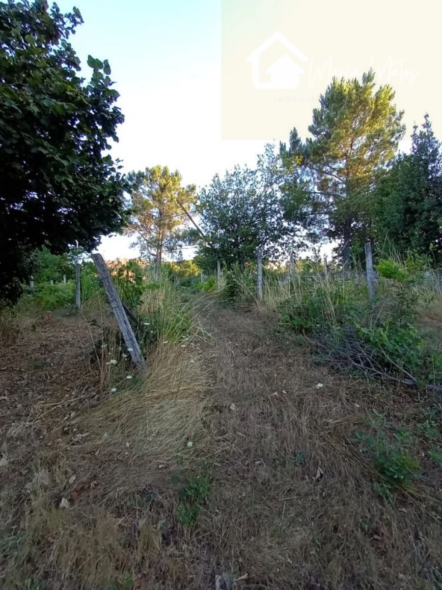 Moradia T3 para Venda em Santiago de Cassurrães e Póvoa de Cervães Foto 25