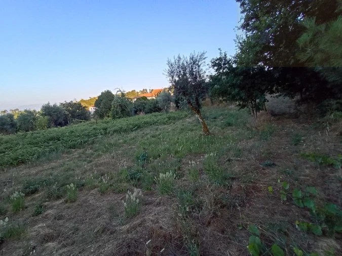 Moradia T3 para Venda em Santiago de Cassurrães e Póvoa de Cervães Foto 23