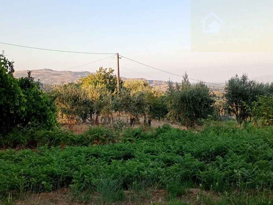 Moradia T3 para Venda em Santiago de Cassurrães e Póvoa de Cervães Foto 18