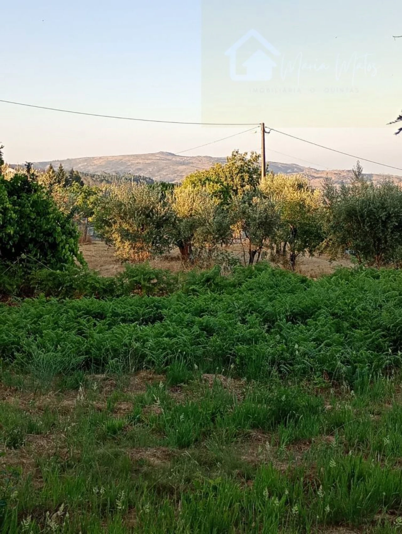 Moradia T3 para Venda em Santiago de Cassurrães e Póvoa de Cervães Foto 24