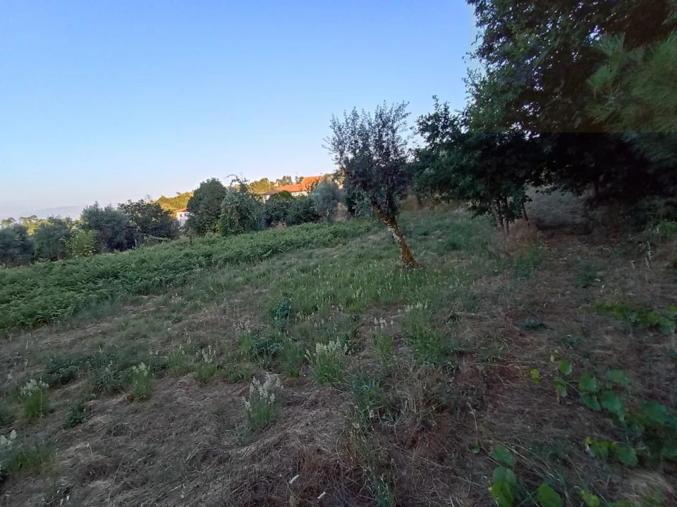 Moradia T3 para Venda em Santiago de Cassurrães e Póvoa de Cervães Foto 23