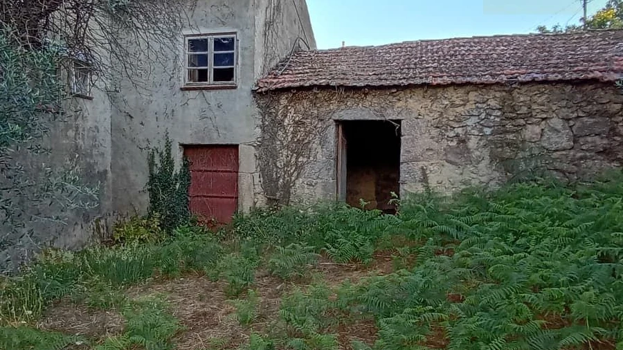 Moradia T3 para Venda em Santiago de Cassurrães e Póvoa de Cervães