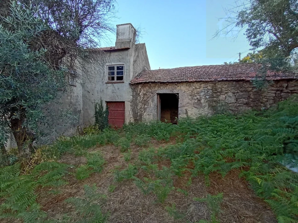 Moradia T3 para Venda em Santiago de Cassurrães e Póvoa de Cervães Foto 1