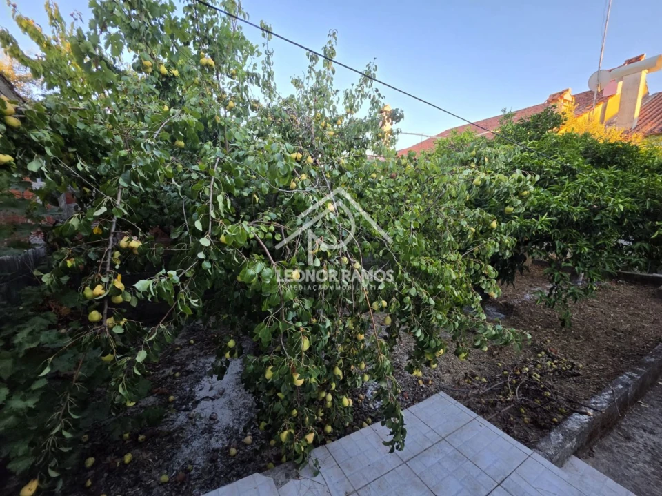 Moradia T4 para Venda em Cebolais de Cima e Retaxo Foto 19