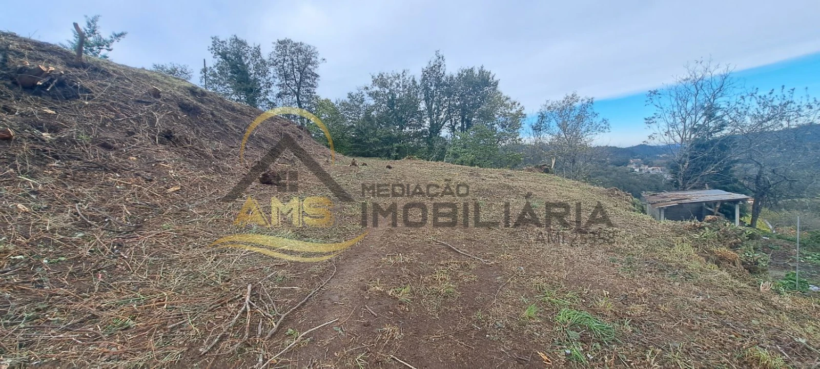Terreno para Venda em Monte e Queimadela Foto 15