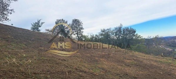 Terreno para Venda em Monte e Queimadela