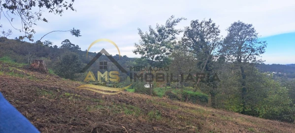 Terreno para Venda em Monte e Queimadela