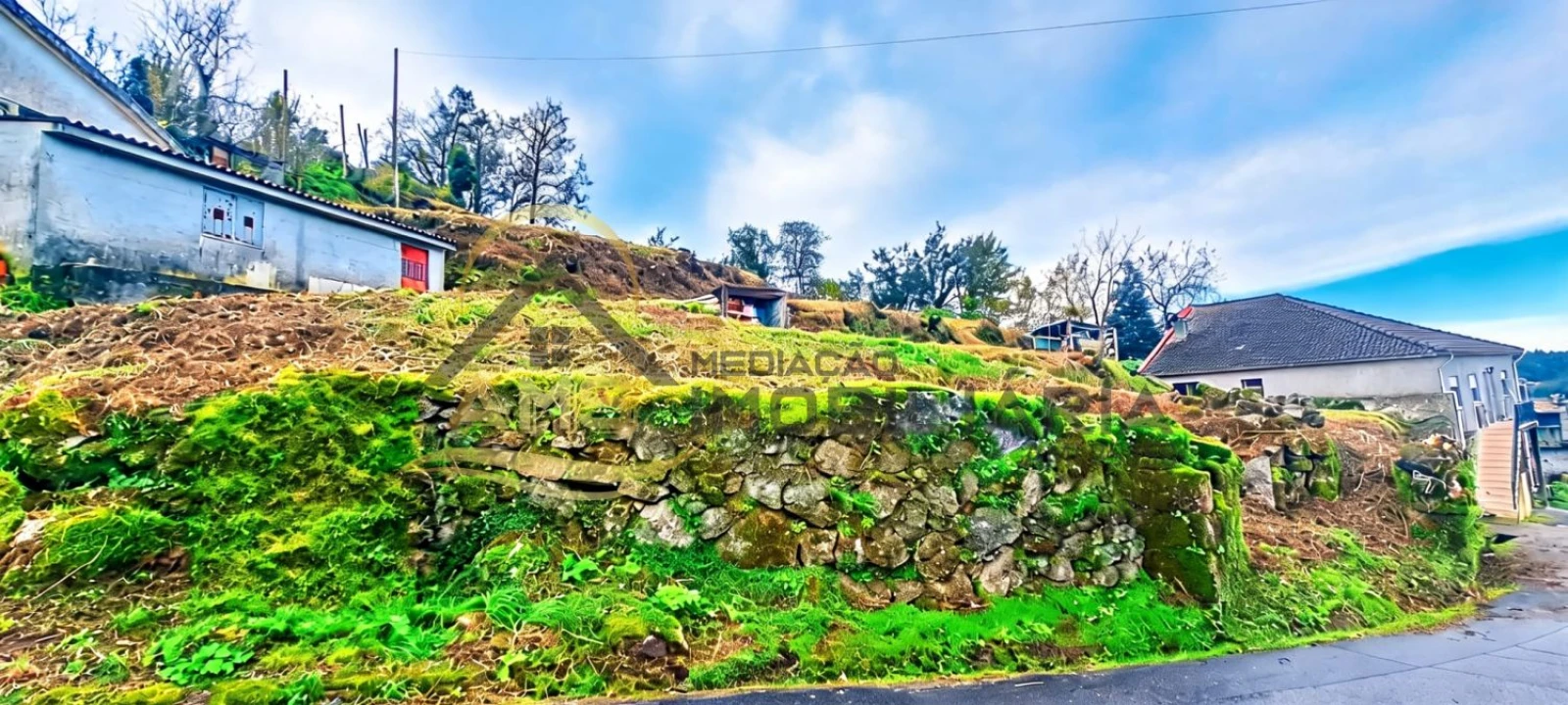 Terreno para Venda em Monte e Queimadela Foto 1