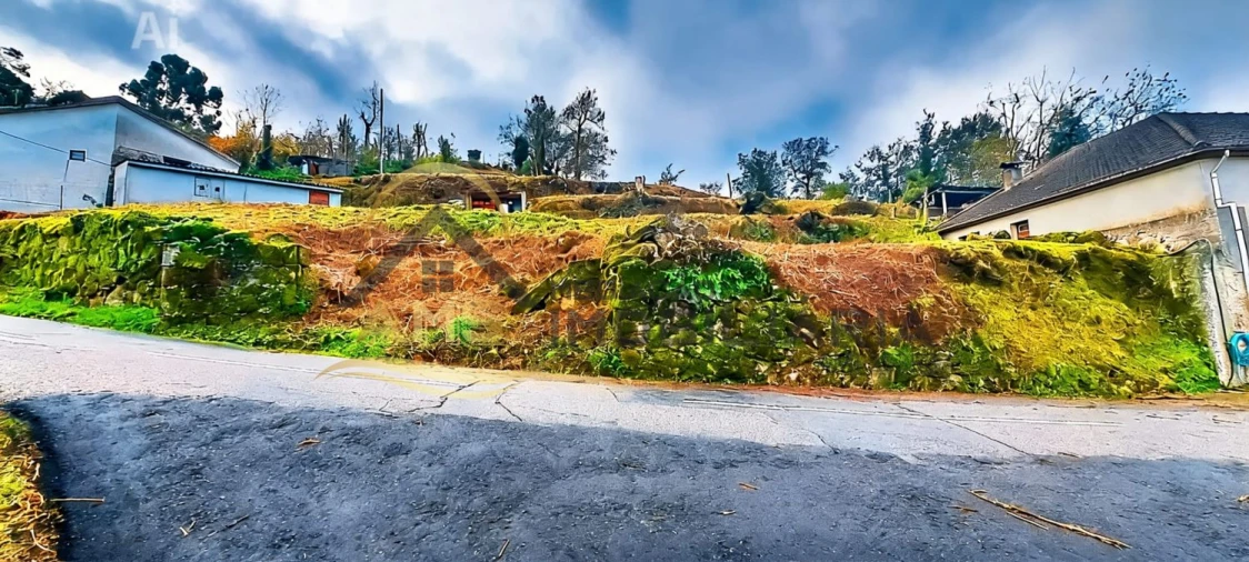 Terreno para Venda em Monte e Queimadela Foto 3