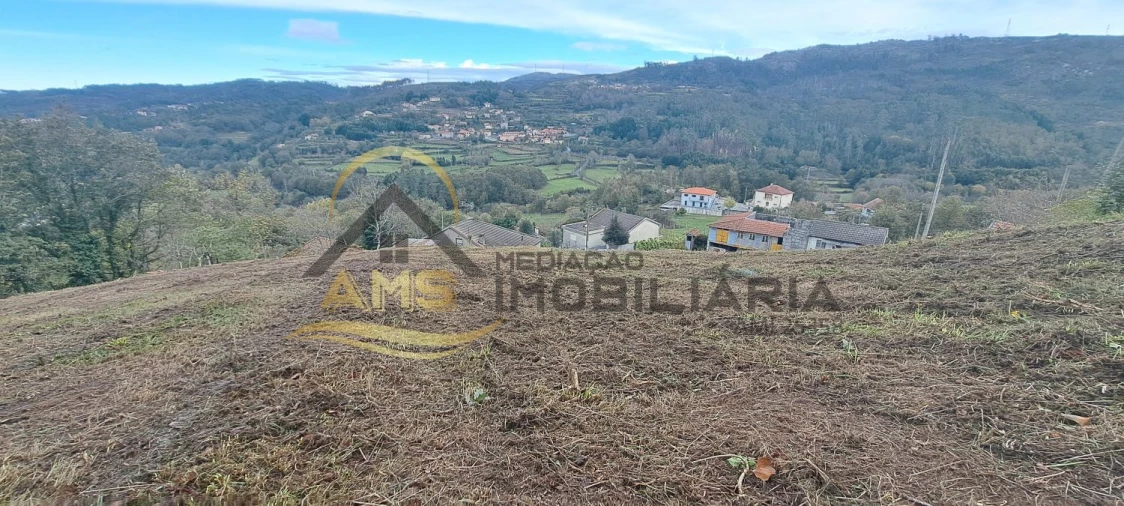 Terreno para Venda em Monte e Queimadela Foto 5