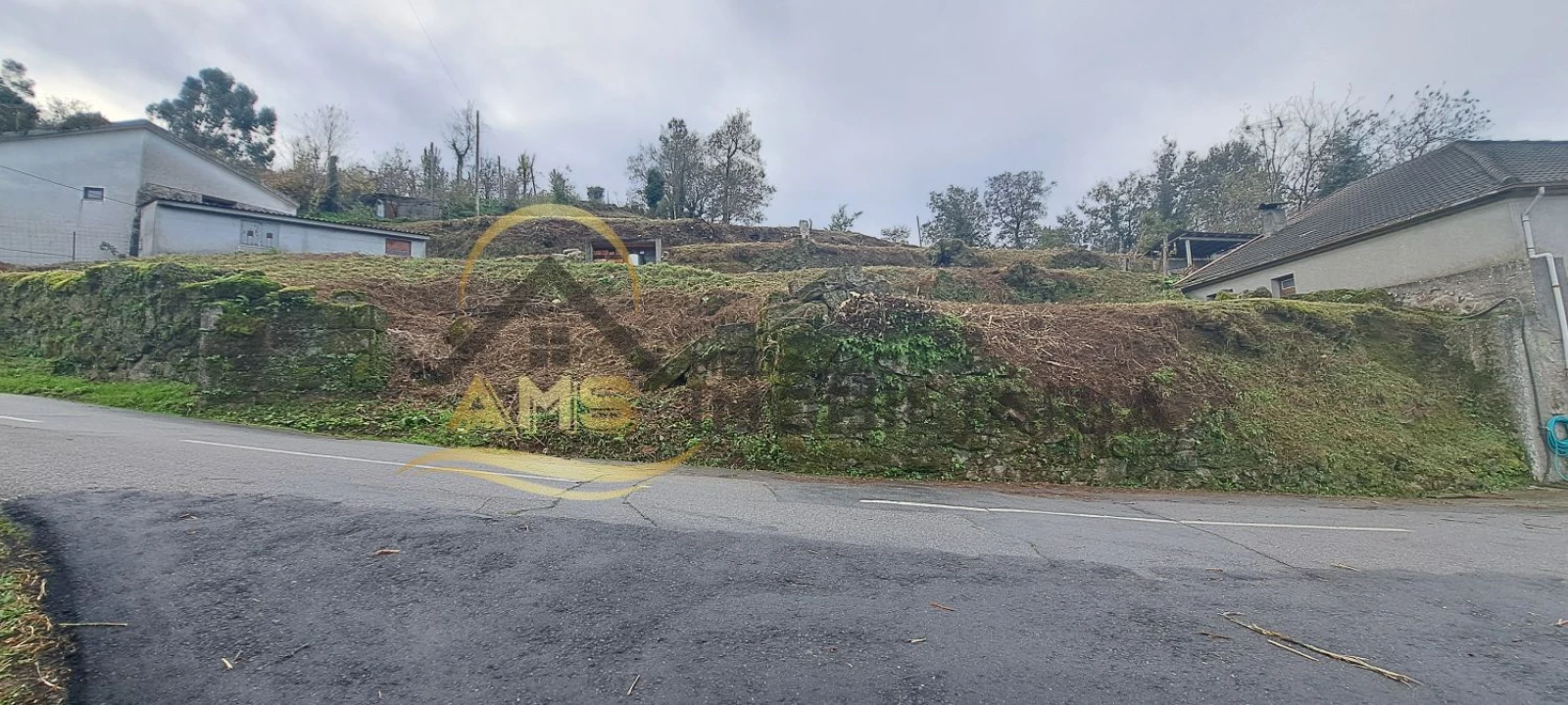 Terreno para Venda em Monte e Queimadela Foto 4