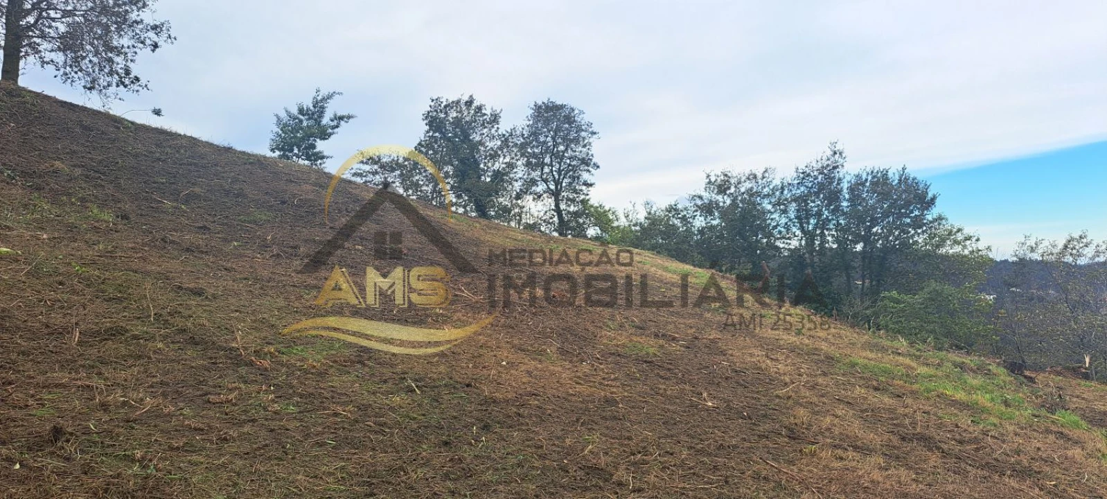 Terreno para Venda em Monte e Queimadela Foto 30