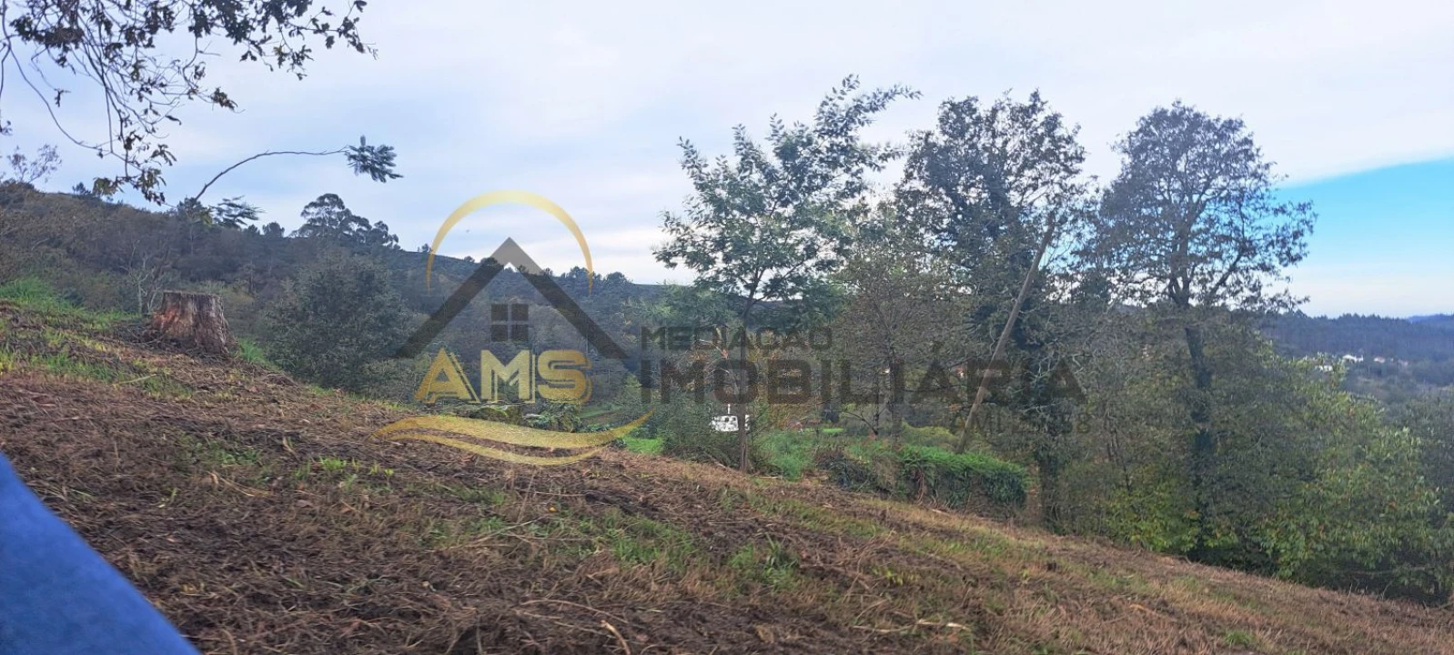 Terreno para Venda em Monte e Queimadela Foto 24