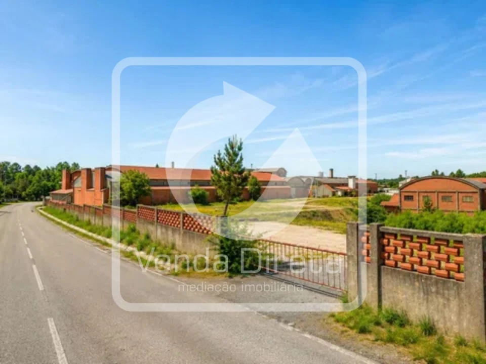 Armazém para Venda em Côja e Barril de Alva Foto 10