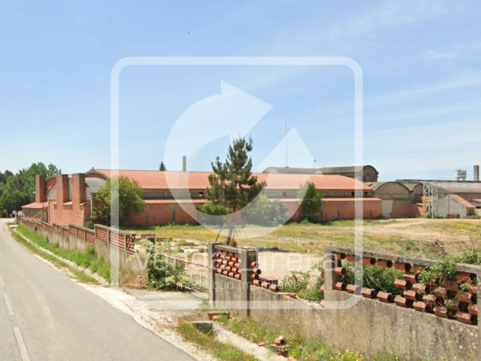 Armazém para Venda em Côja e Barril de Alva Foto 13