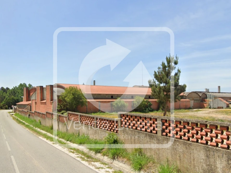 Armazém para Venda em Côja e Barril de Alva Foto 14