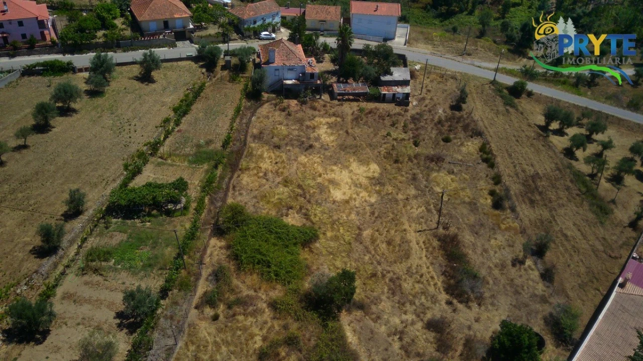 Quinta T3 para Venda em Cernache do Bonjardim, Nesperal e Palhais Foto 4