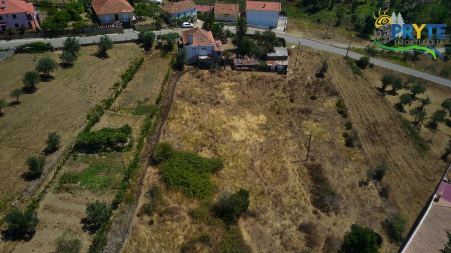 Quinta T3 para Venda em Cernache do Bonjardim, Nesperal e Palhais Foto 4