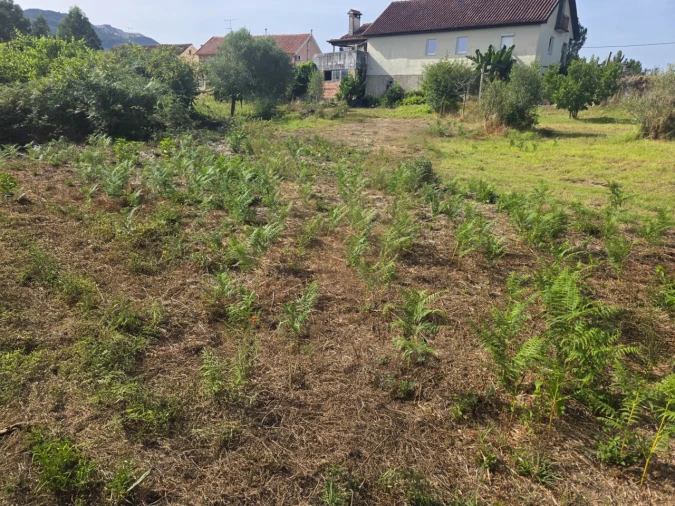 Terreno para Venda em Arcozelo Foto 2
