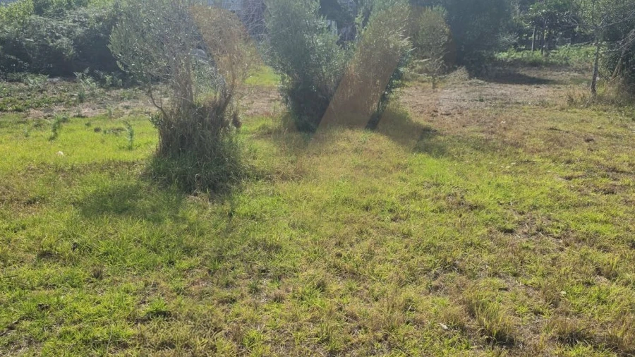 Terreno para Venda em Arcozelo