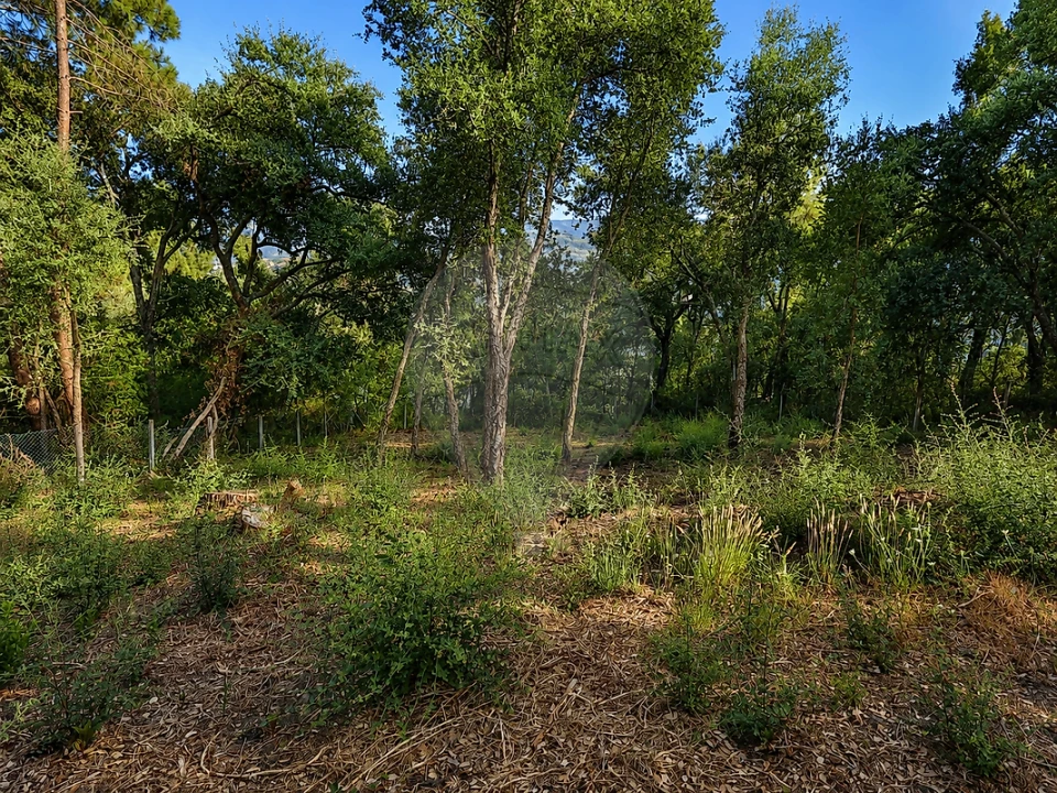 Terreno para Venda em Frende Foto 8