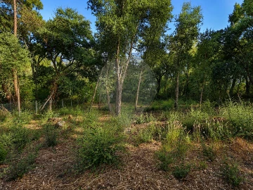 Terreno para Venda em Frende