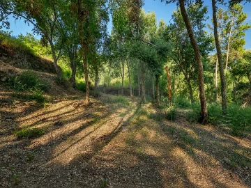 Terreno para Venda em Frende