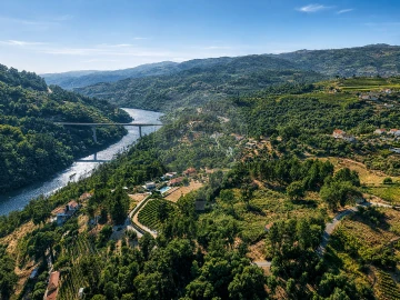 Terreno para Venda em Frende