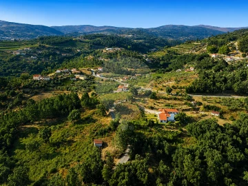 Terreno para Venda em Frende