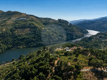 Terreno para Venda em Frende