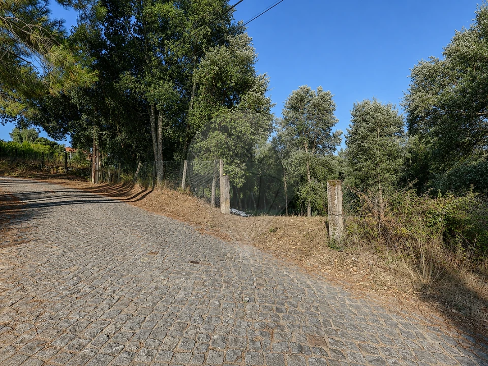 Terreno para Venda em Frende Foto 4