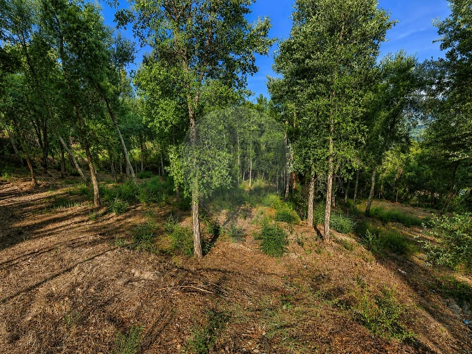 Terreno para Venda em Frende Foto 6