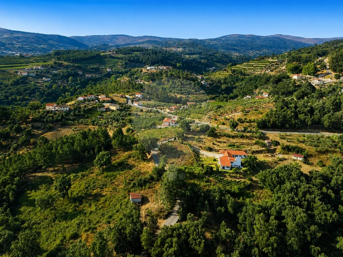 Terreno para Venda em Frende Foto 3