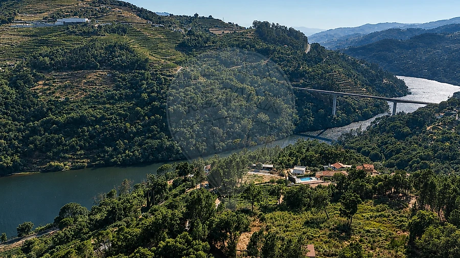 Terreno para Venda em Frende