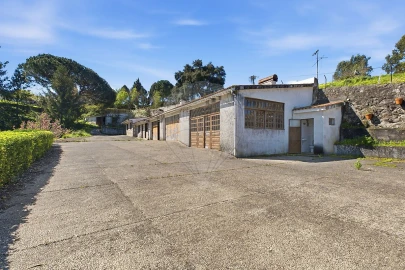 Quinta T6 para Venda em Oliveira do Douro