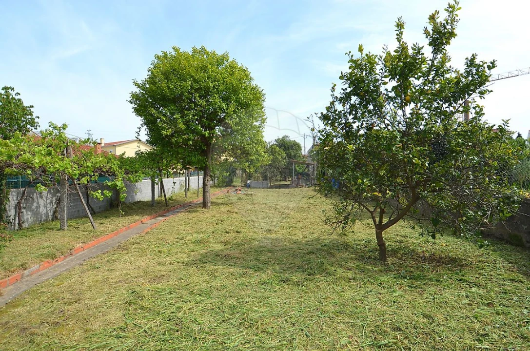 Terreno para Venda em Oliveira do Douro Foto 5