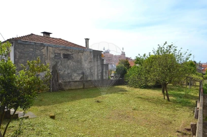 Terreno para Venda em Oliveira do Douro