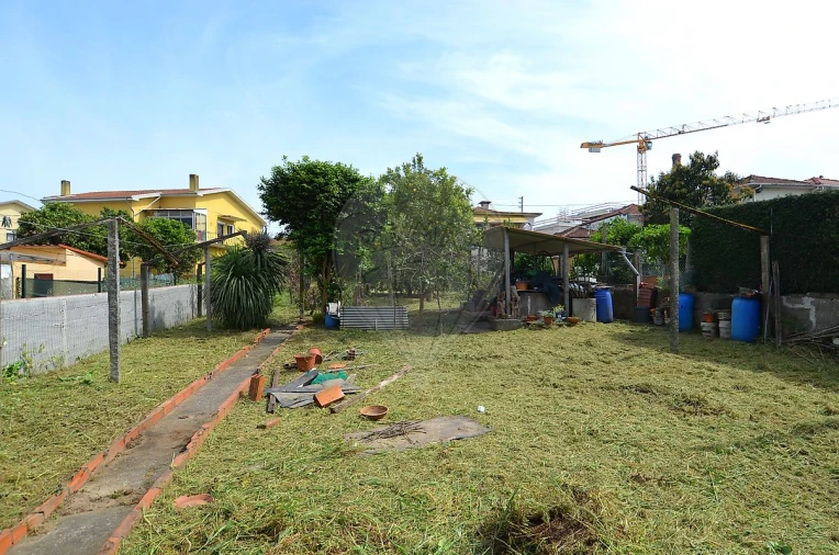 Terreno para Venda em Oliveira do Douro Foto 3