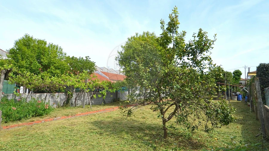 Terreno para Venda em Oliveira do Douro