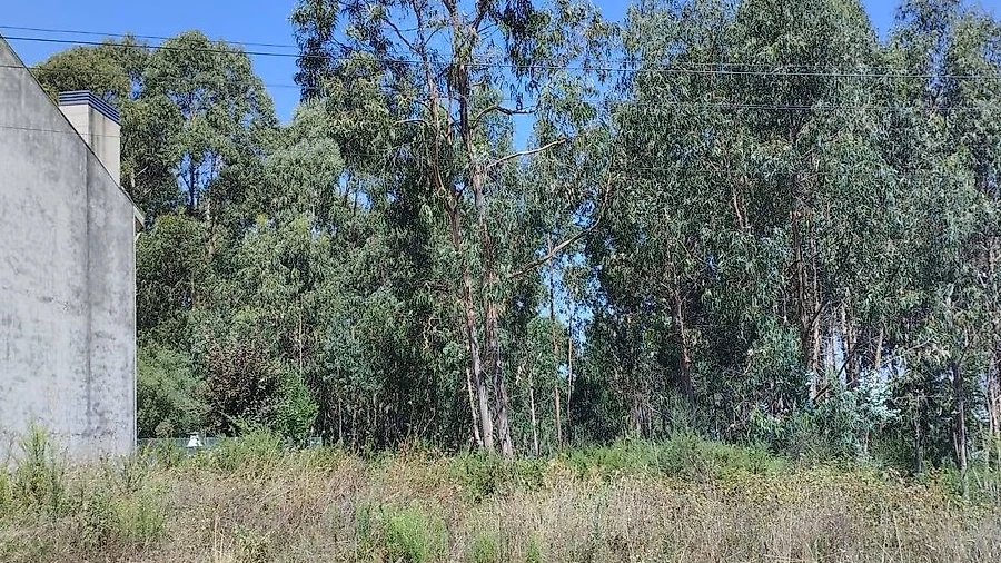 Terreno para Venda em Pedroso e Seixezelo