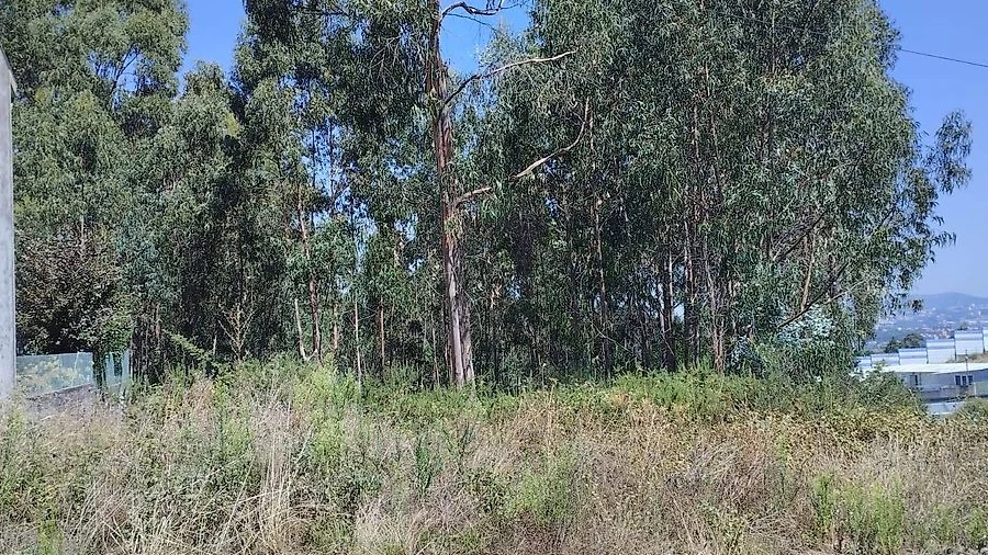 Terreno para Venda em Pedroso e Seixezelo