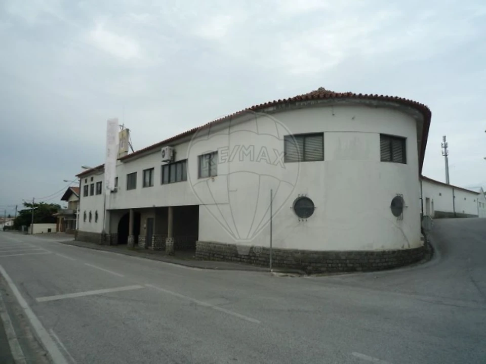 Armazém para Arrendamento em Sangalhos Foto 3