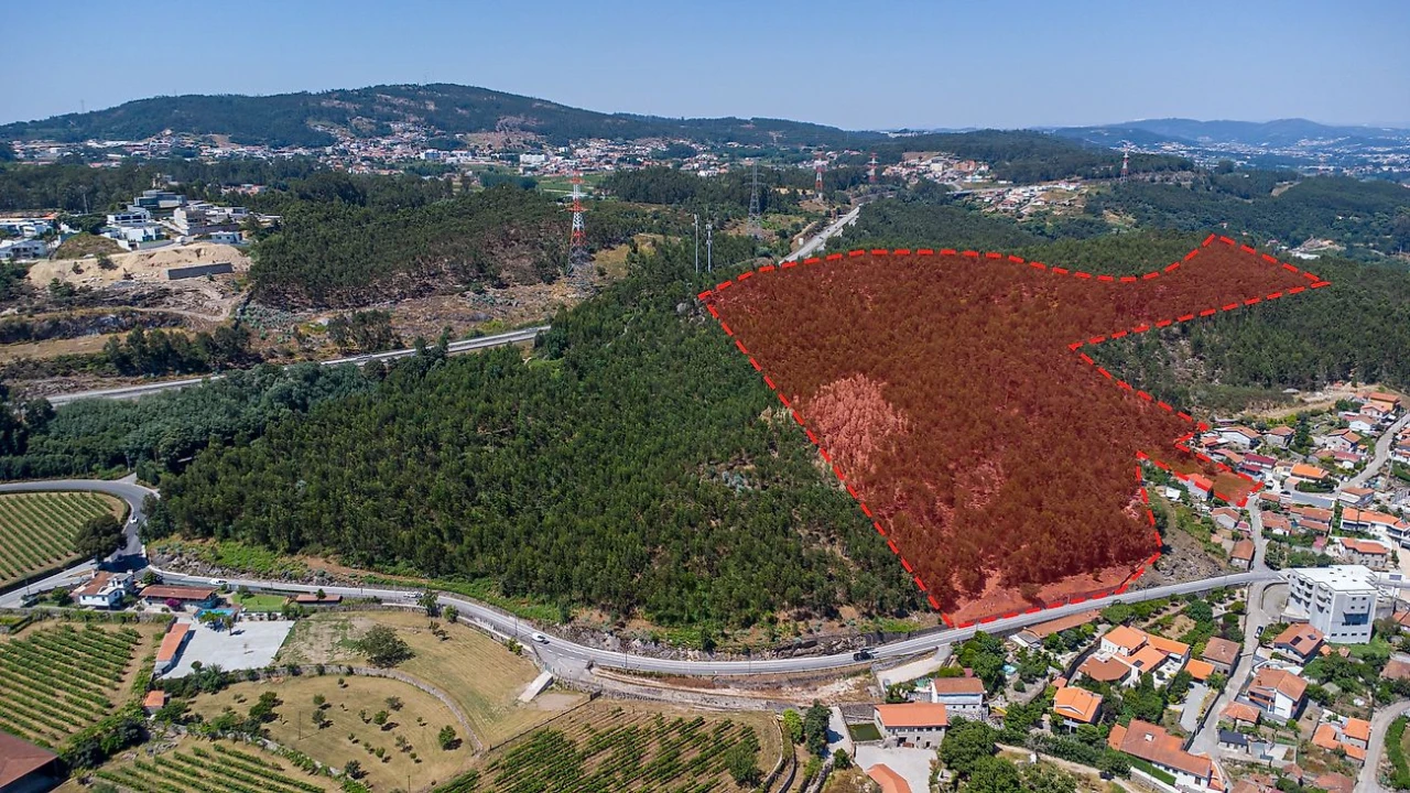 Terreno para Venda em Parada de Todeia Foto 7