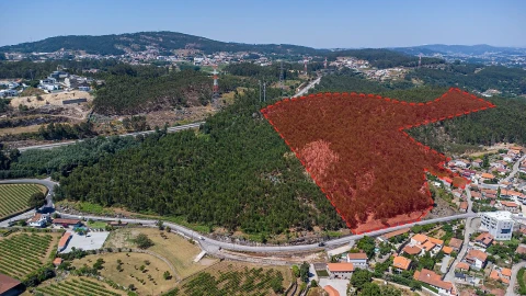 Terreno para Venda em Parada de Todeia