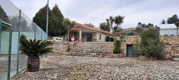 Quinta T7 para Venda em Gouviães e Ucanha