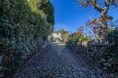 Quinta T7 para Venda em Gouviães e Ucanha