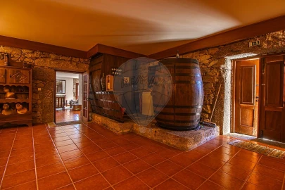 Quinta T7 para Venda em Gouviães e Ucanha