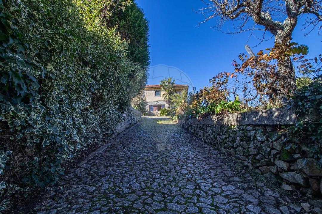 Quinta T7 para Venda em Gouviães e Ucanha Foto 38