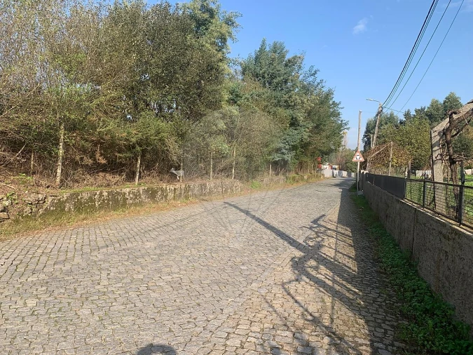 Terreno para Venda em Santo Tirso, Couto (Santa Cristina e São Miguel) e Burgães Foto 3